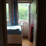 14 B *